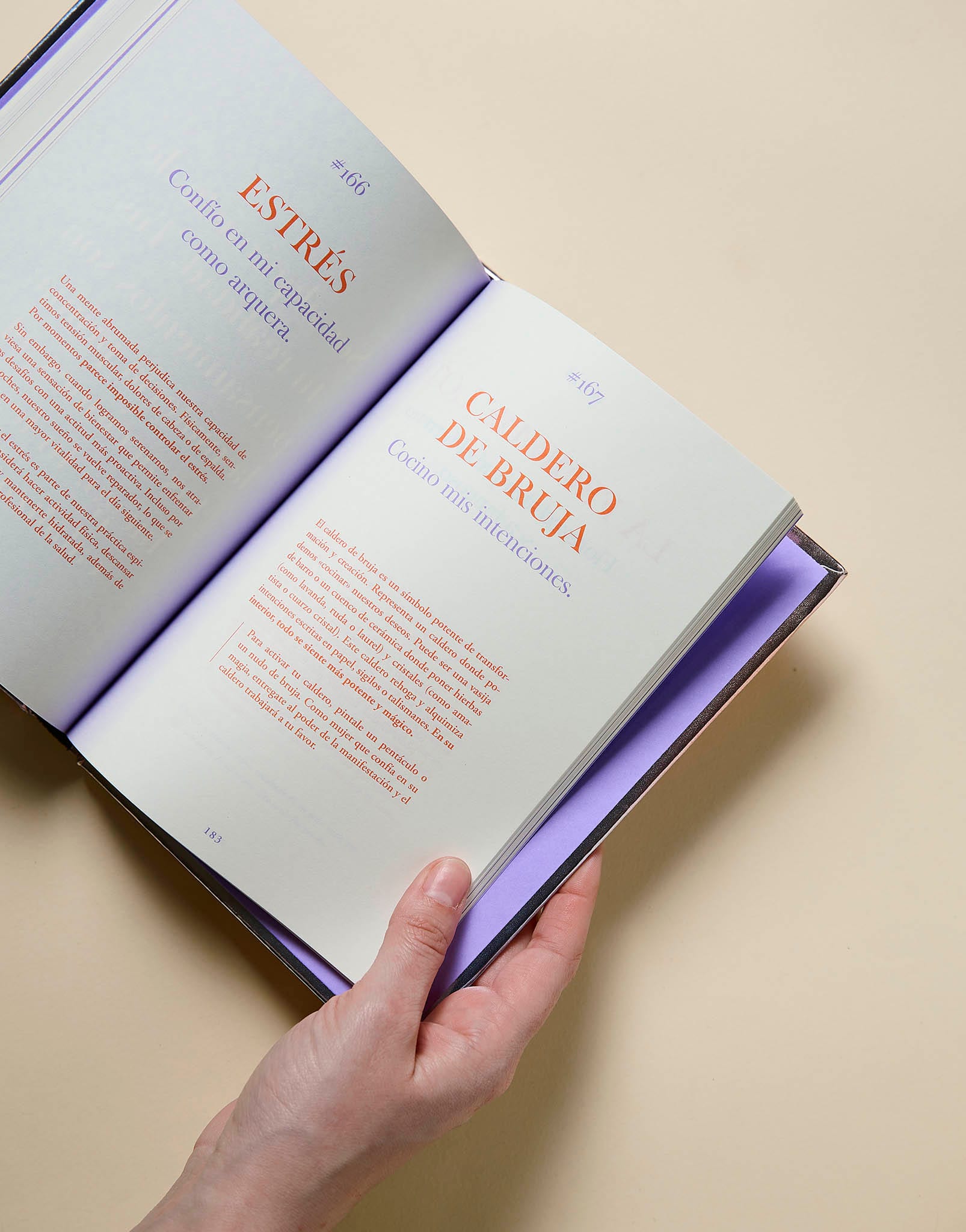 LIBRO MANIFESTAR - imagen 4