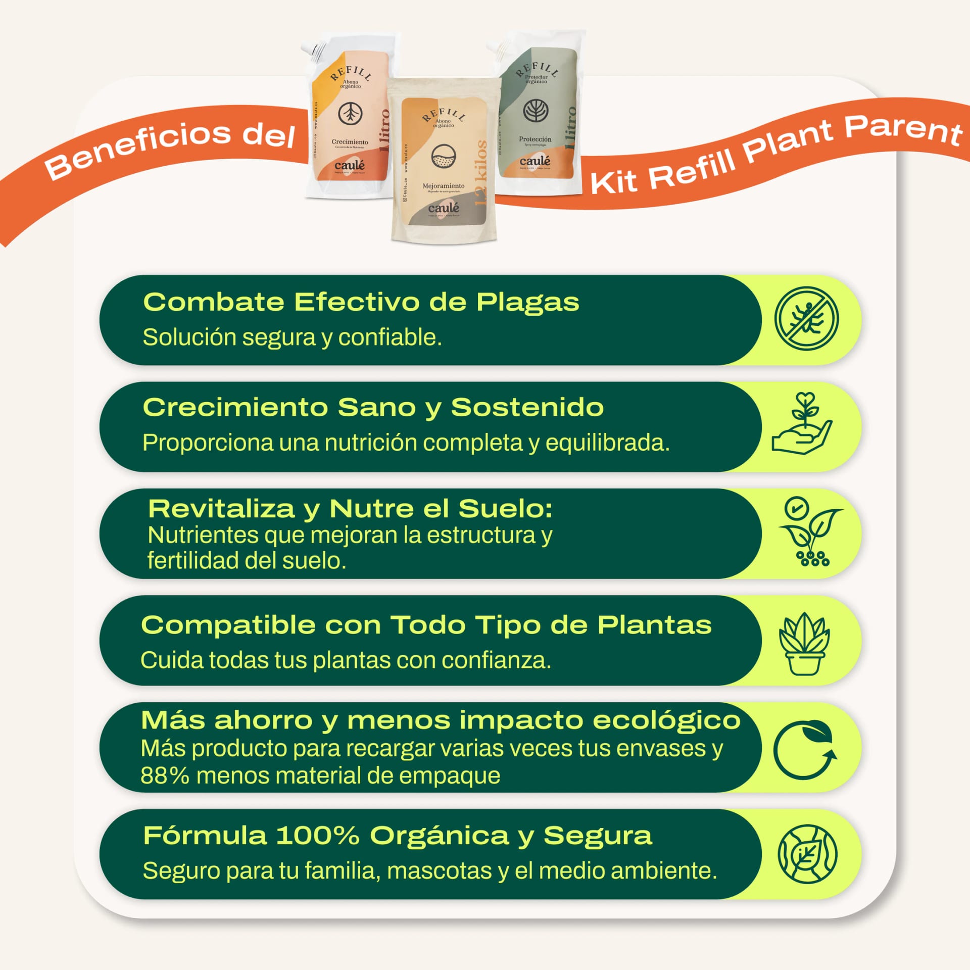Refill Plant Parent Kit - imagen 2