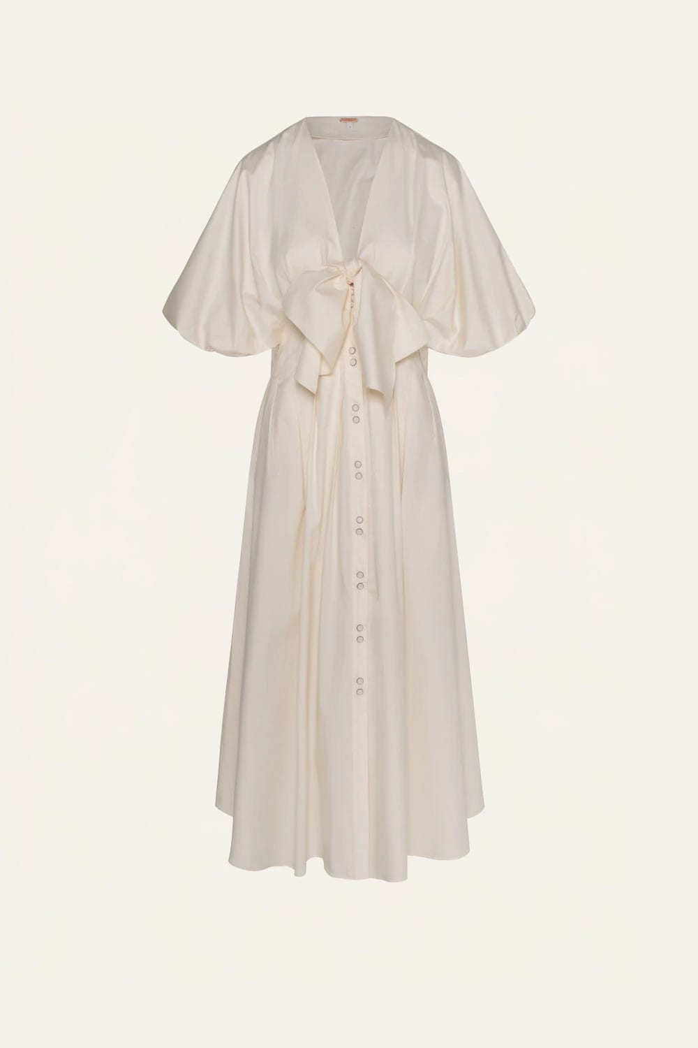 Endless Spring Dress - imagen 1