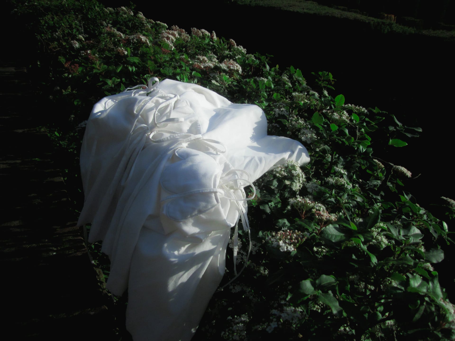 CLOUD SKIRT THAT WAS A FLOWER - imagen 6