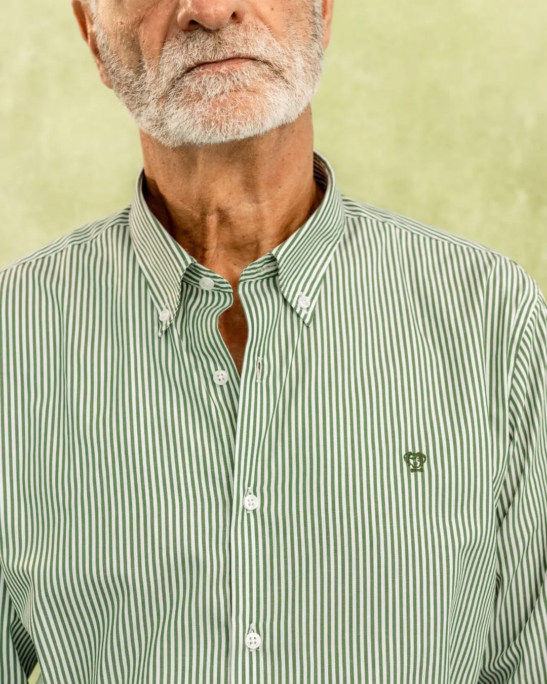 Camisa Antimanchas Popelina Rayas Verde Oscuro Logo Combinado - imagen 14
