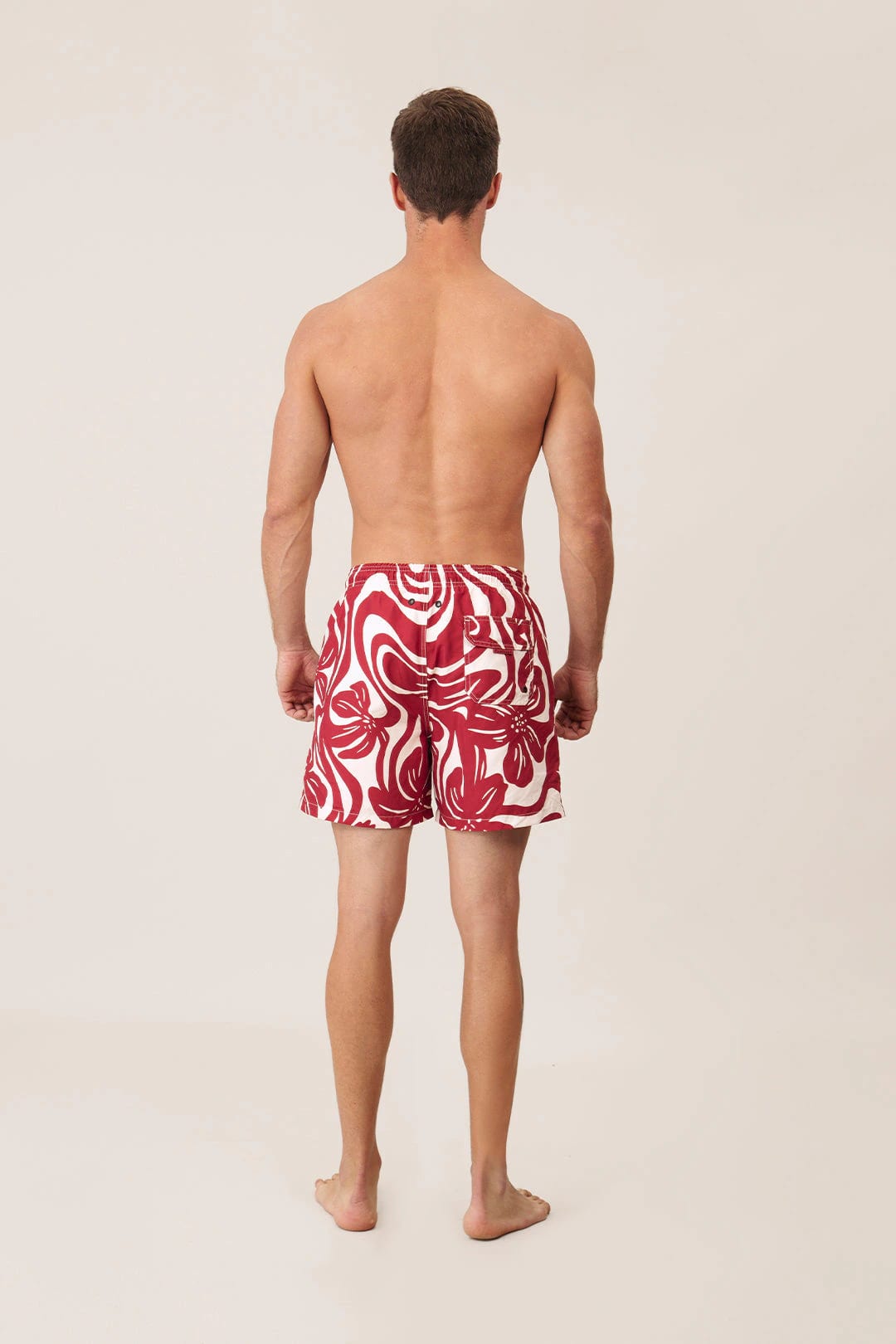 Bloomy Pantaloneta - Origen - imagen 2