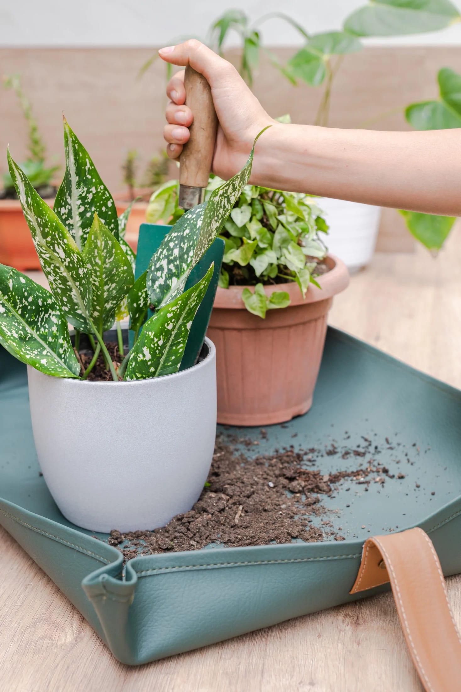 Mat de Jardinería - imagen 5