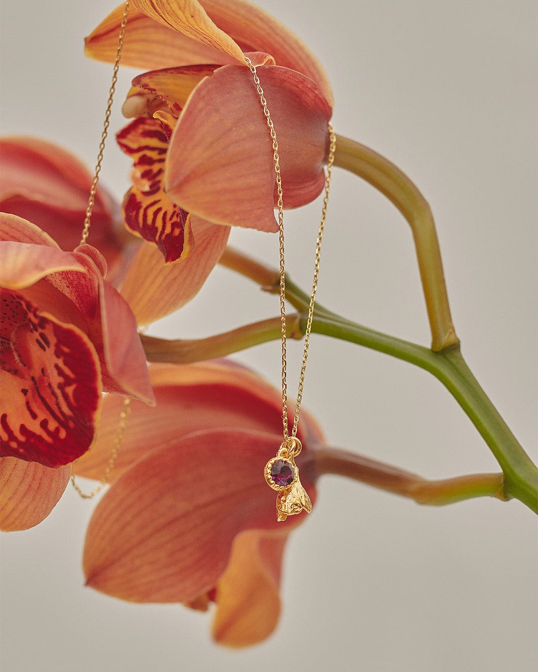 Collar The Garden - imagen 14