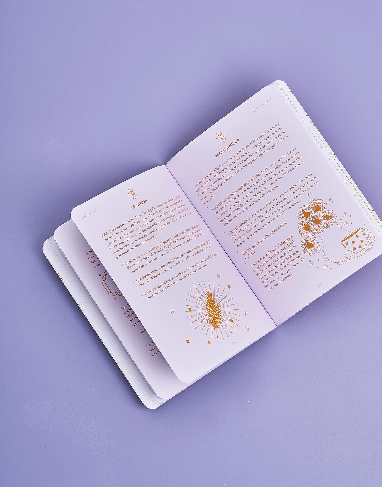 LIBRO VIBRAR ALTO - imagen 2