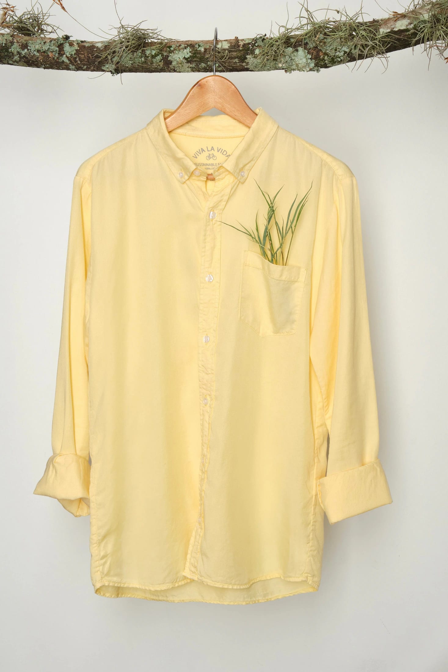 CAMISA LYOCELL BUTTER - imagen 4