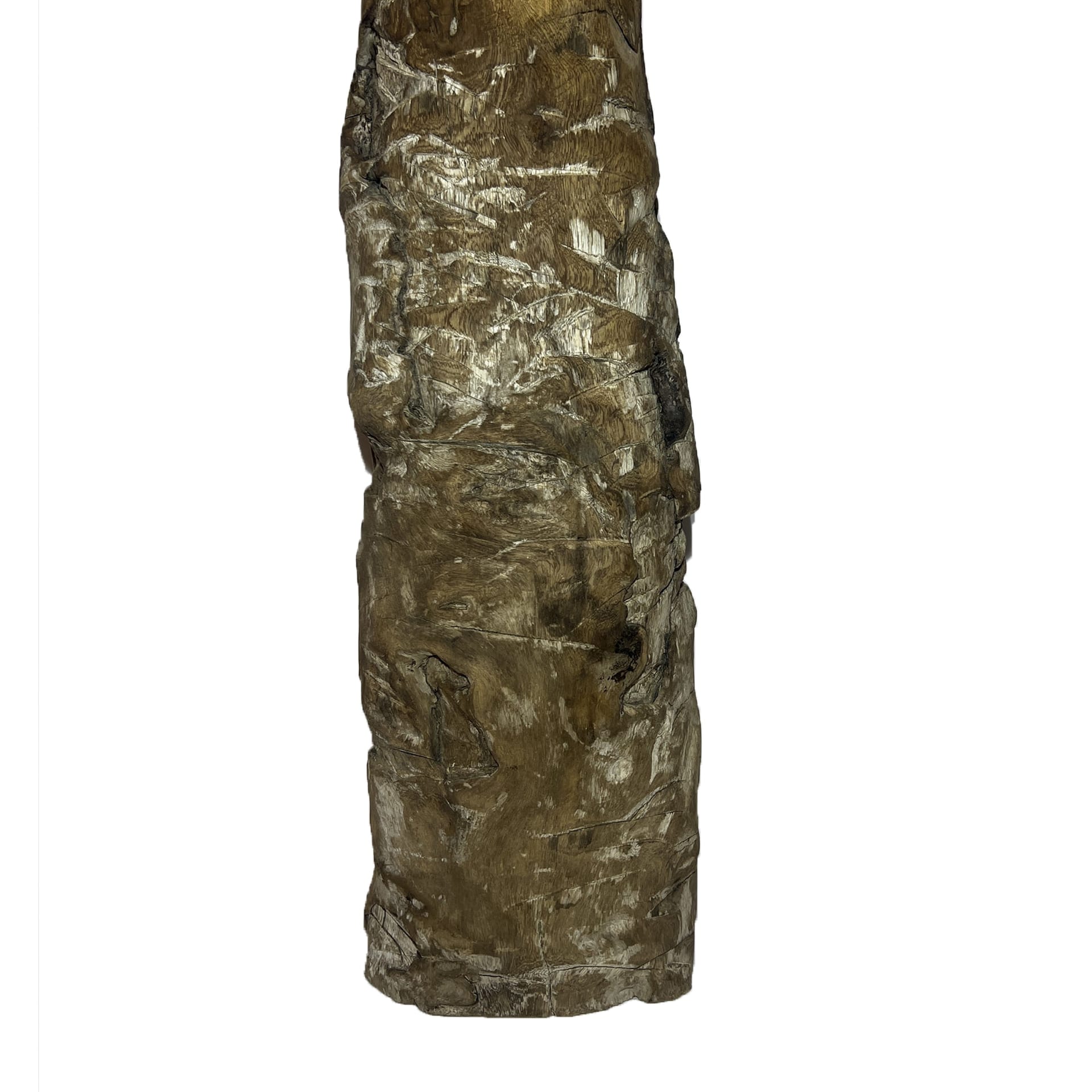 Candelabro Palmera - imagen 2