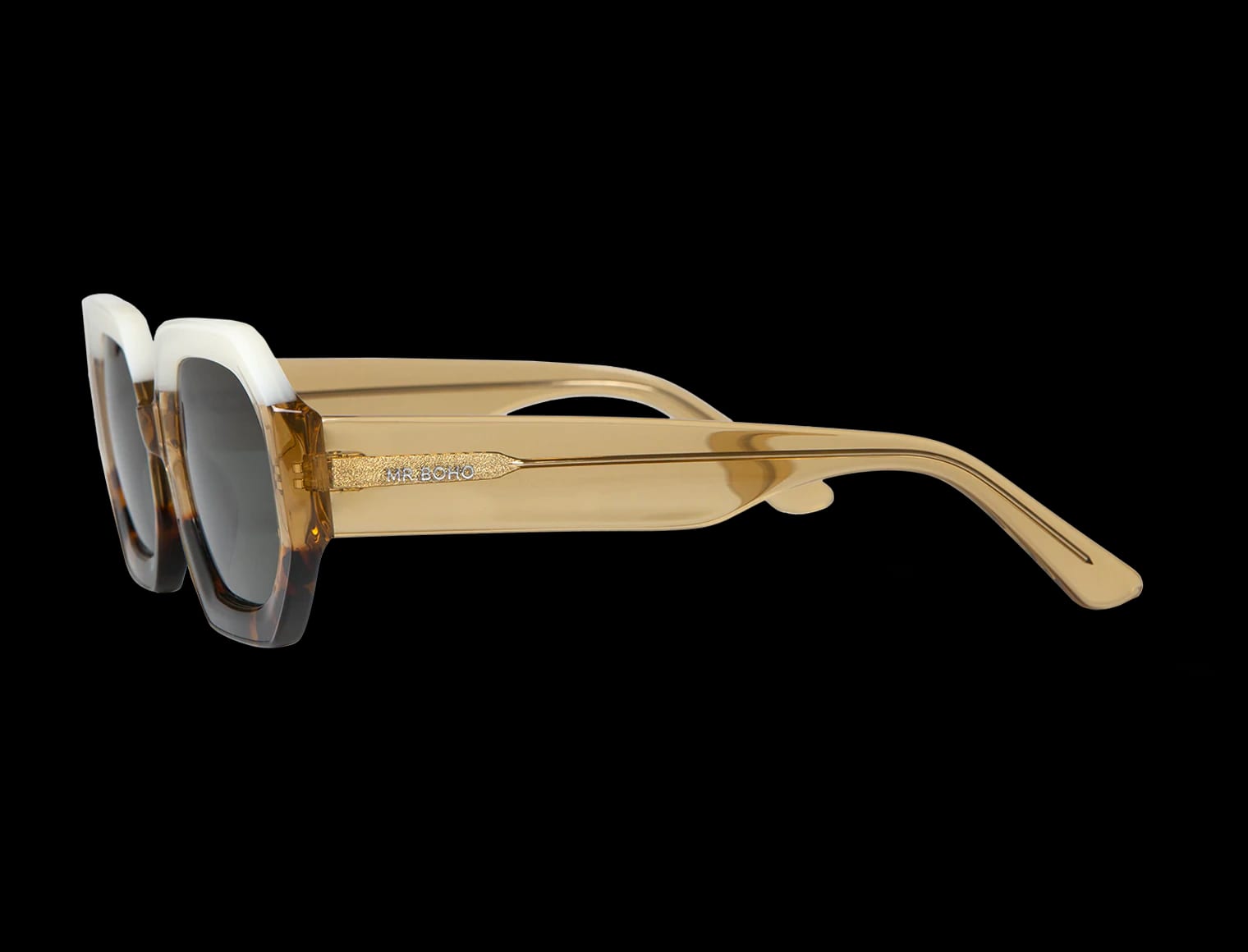 FANCY SAGENE WITH CLASSICAL LENSES - imagen 3