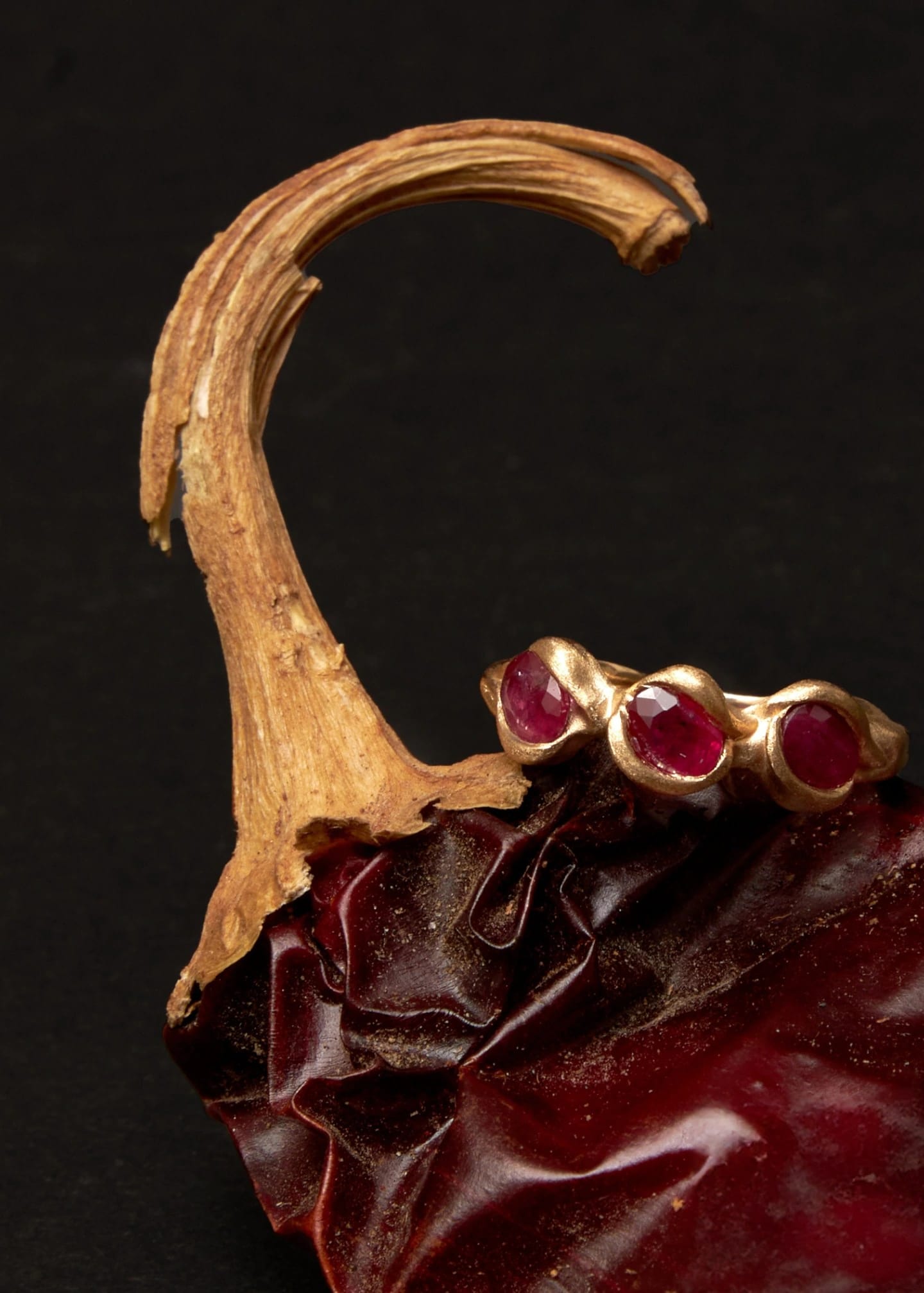 Anillo Fuego - imagen 2