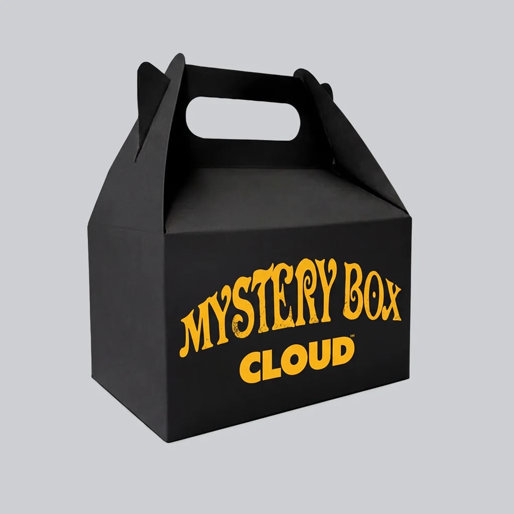 Mystery Bag Grandota - imagen 4