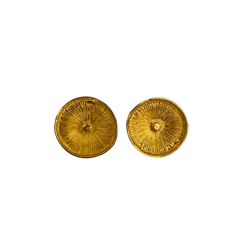Aretes plato - imagen 1