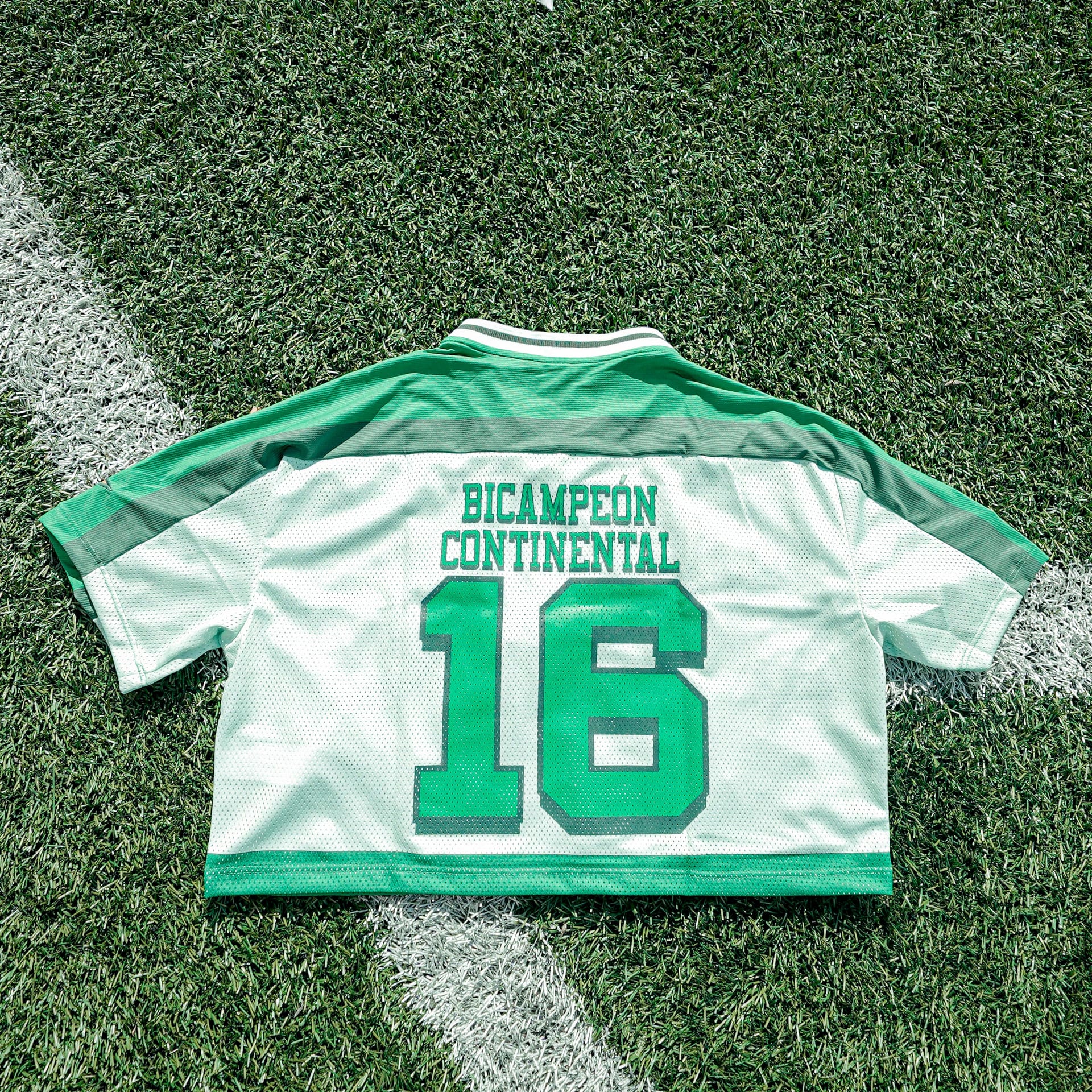 CAMISETA VERDE NFL ESTRELLAS MUJER - imagen 2
