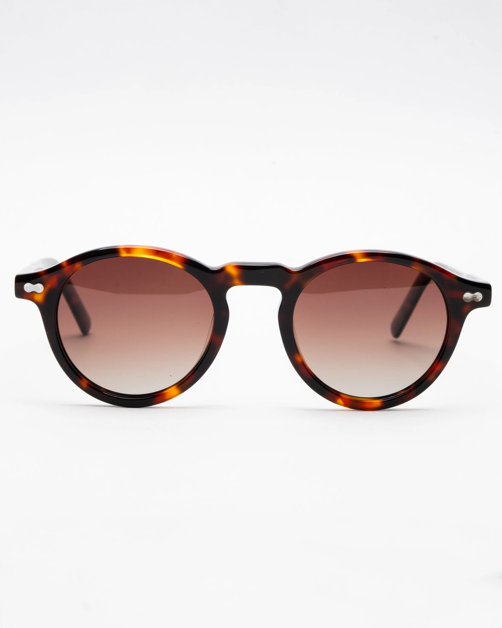 PATRICK - TORTOISE / GRADIENT BROWN - imagen 5