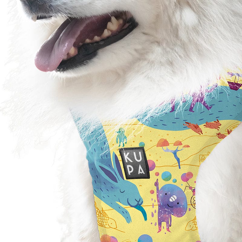 Pechera para mascotas Chía Viajerxs Astrales - imagen 4