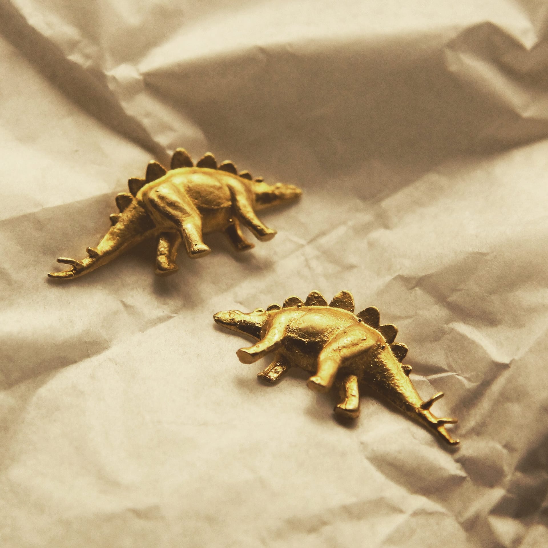 Aretes de estegosaurio - imagen 3