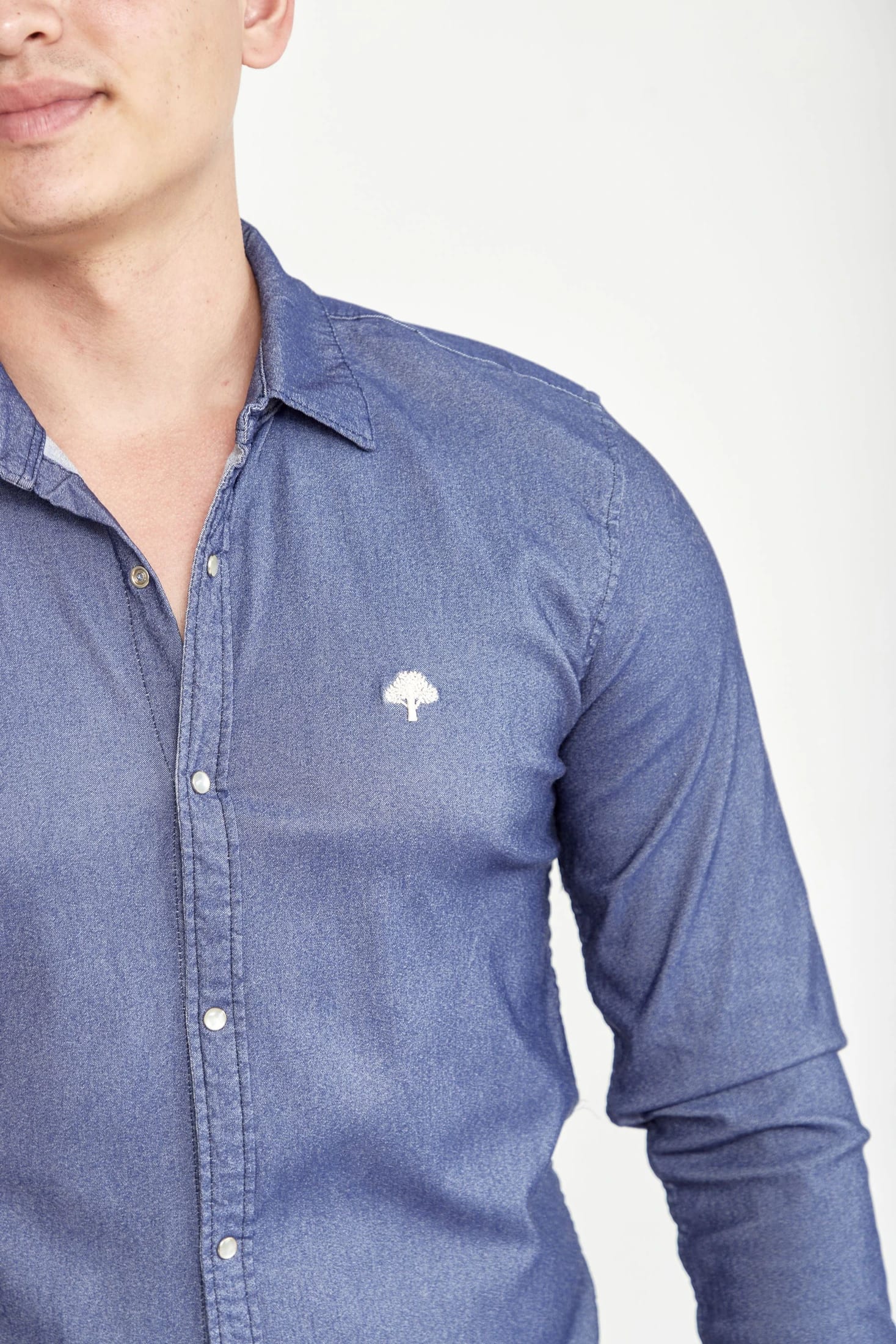 Camisa Clasica Denim - imagen 2