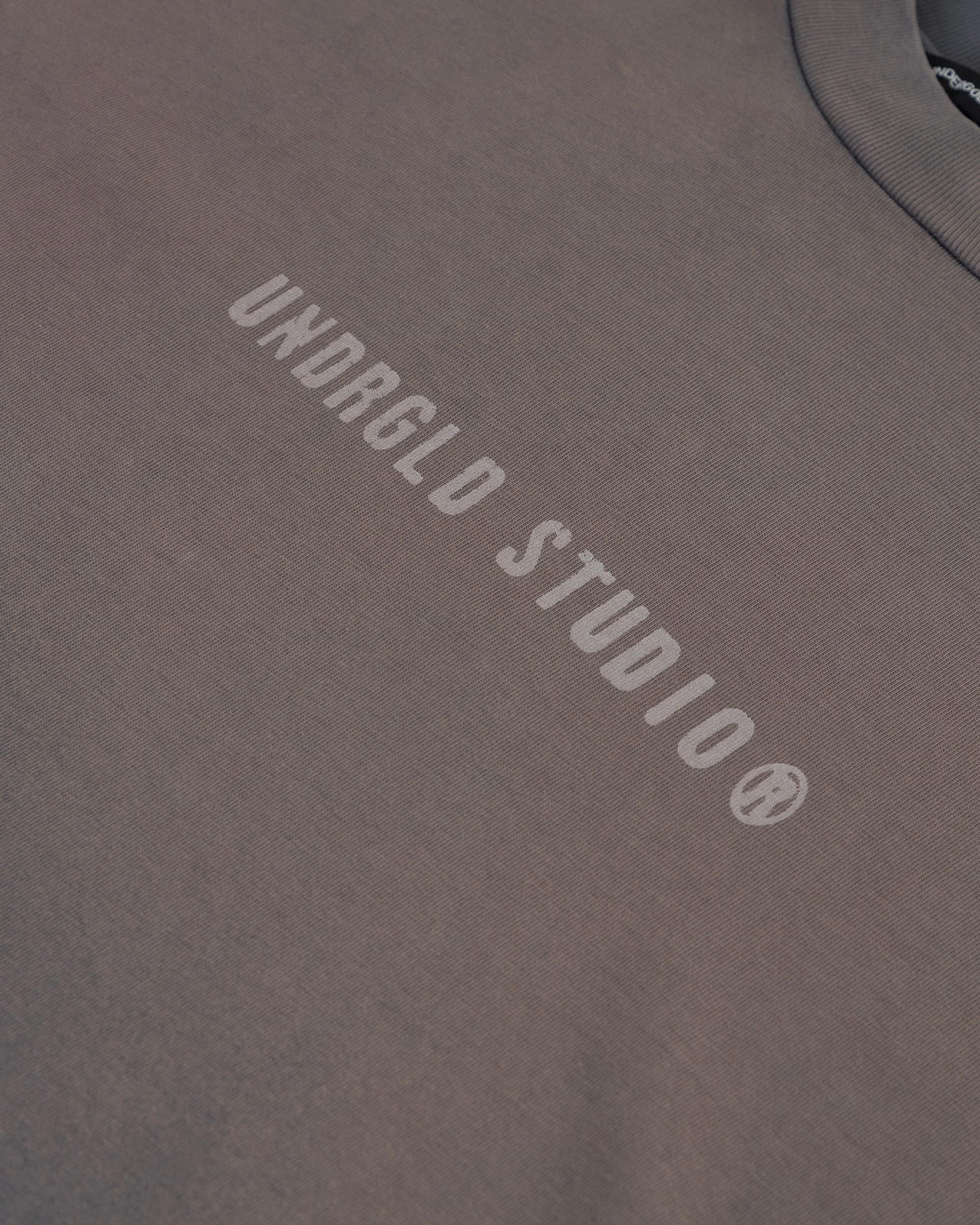 Spring Worn Logo Tshirt Sandblast Gray - imagen 5