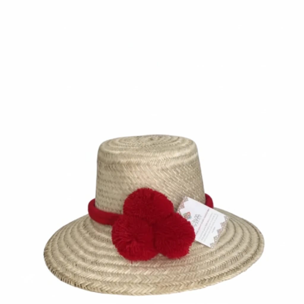 Sombrero Sencillo Blanca - imagen 1