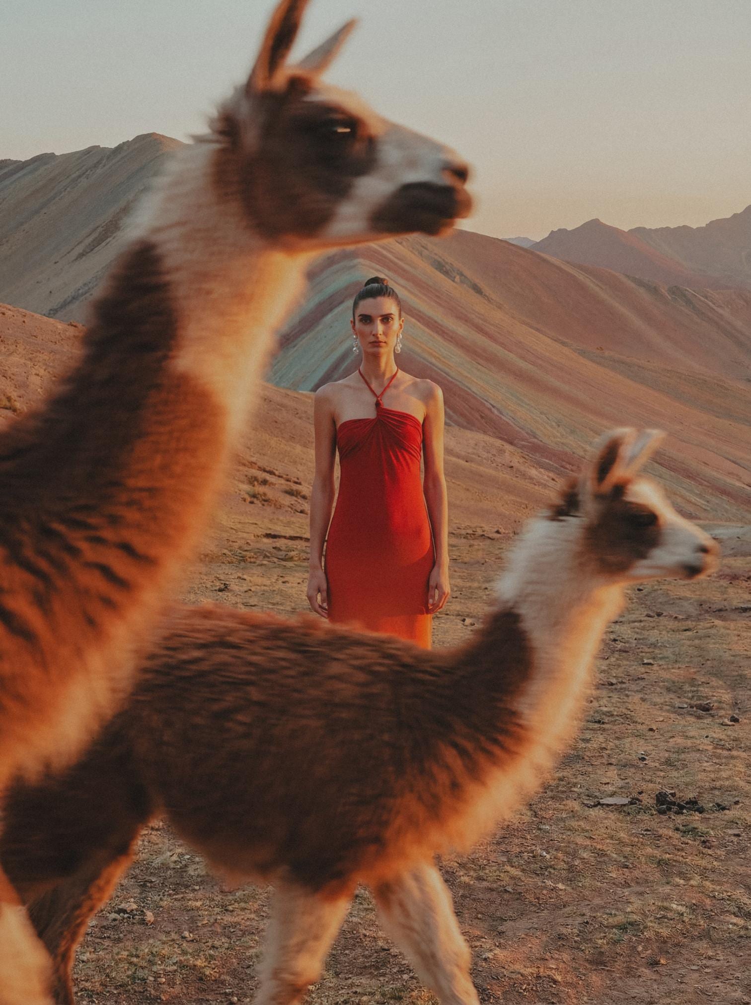 Bari Maxi Dress - imagen 8