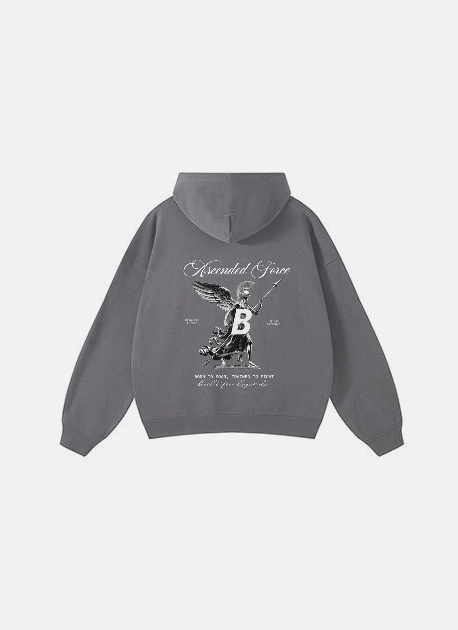 Ascended Force Hoodie Grey - imagen 1