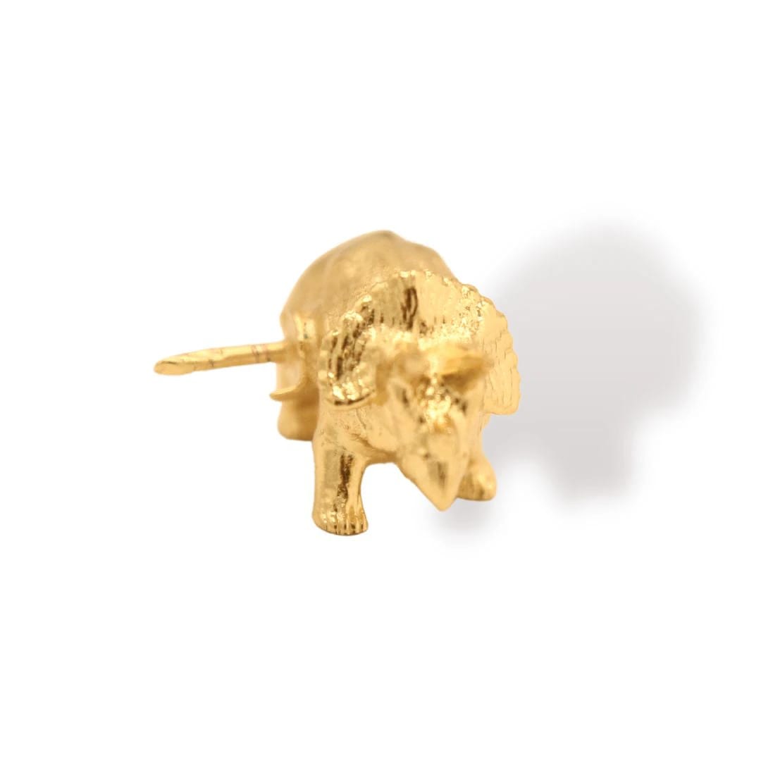 Pin de triceratops - imagen 3