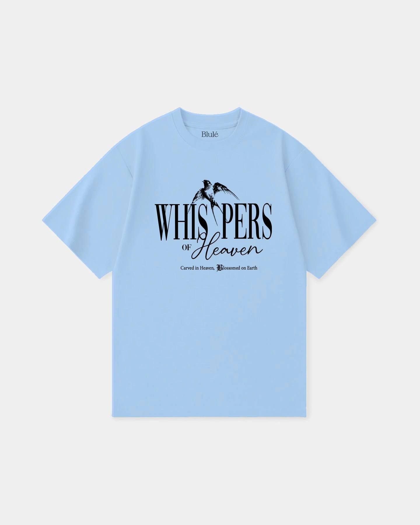 Oversized T Shirt Whispers Blue Navy - imagen 2
