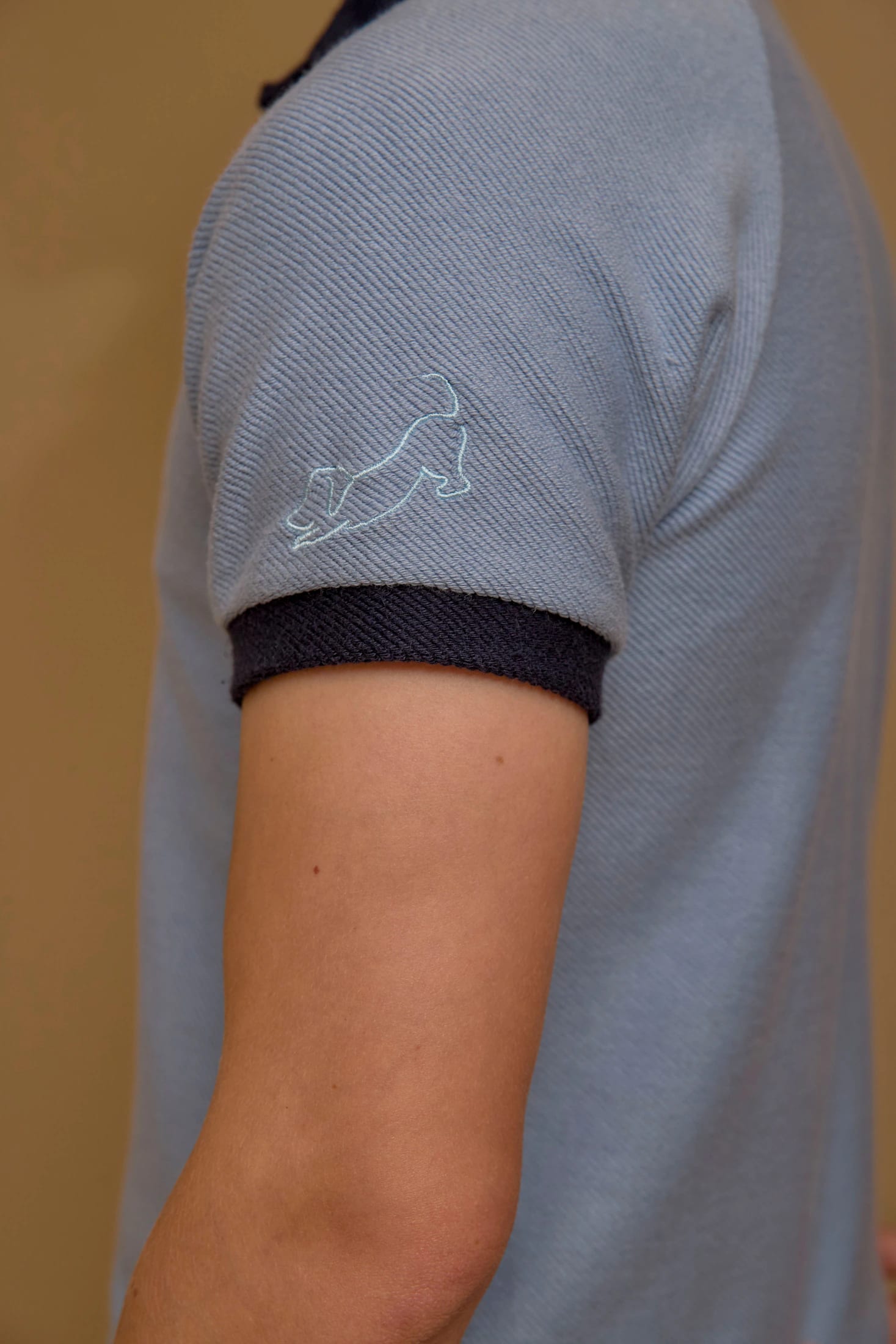 Polo Marqués Celeste - imagen 5
