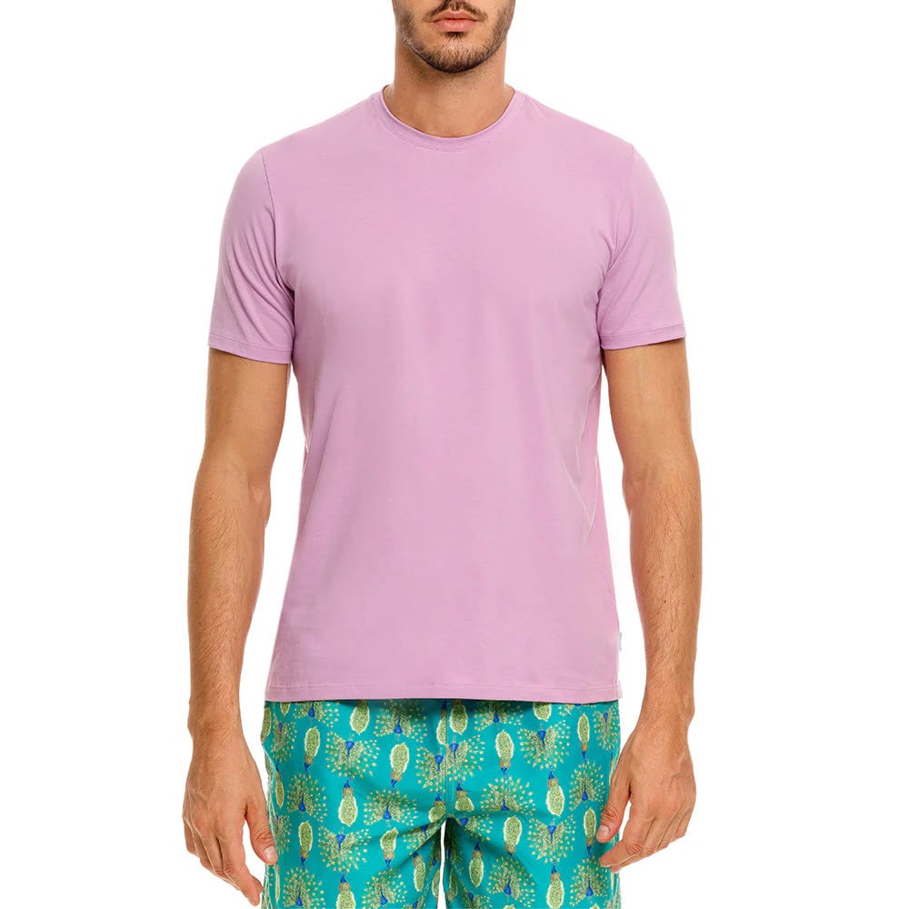 CAMISETA CUELLO REDONDO GORRIÓN MORADO - imagen 1