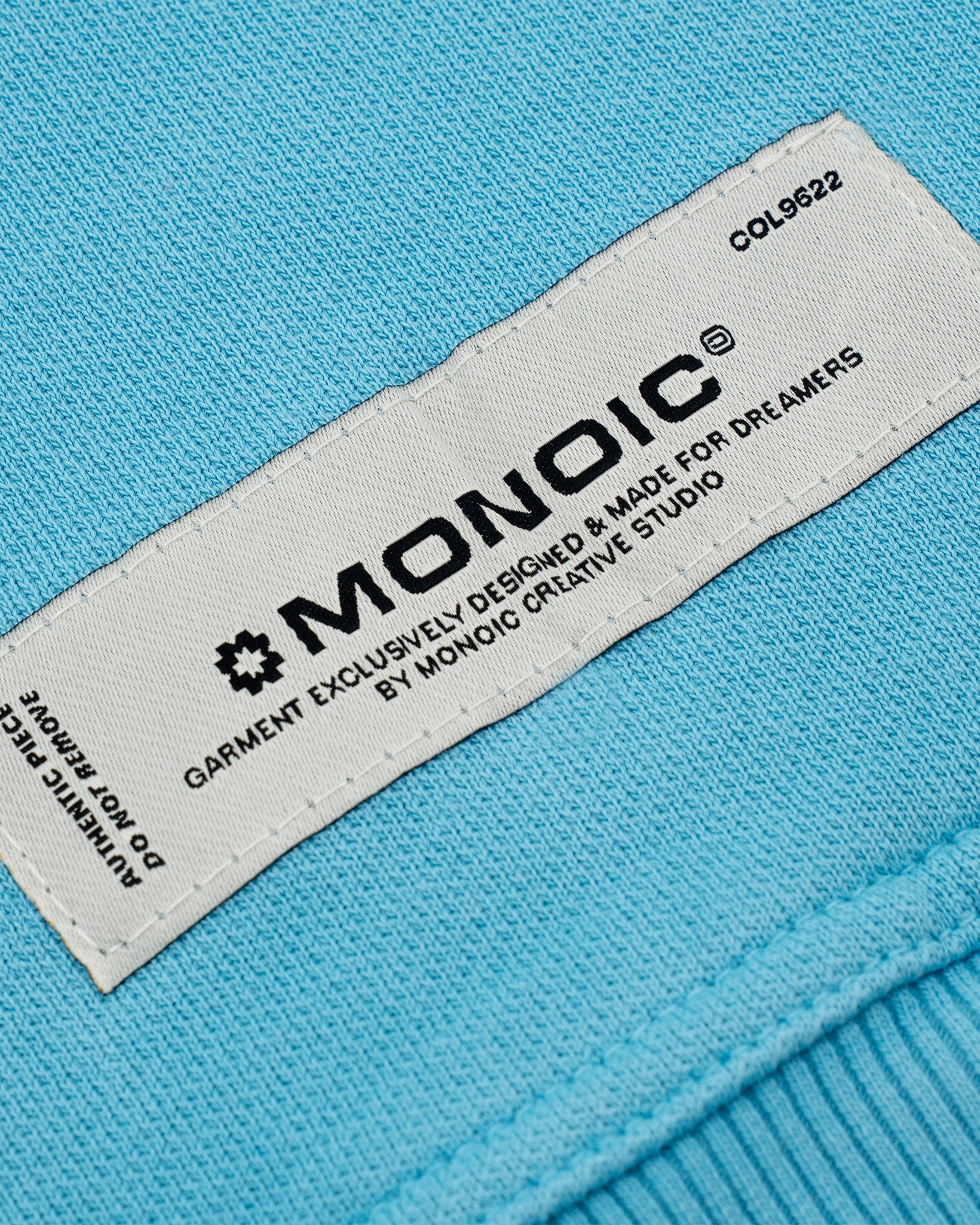 Hoodie Oversized Básico V4 - Azul Claro - imagen 9