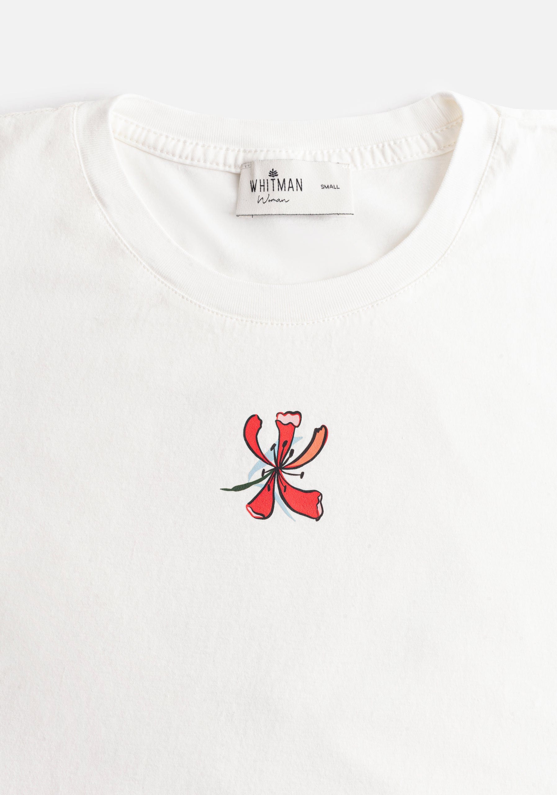 Camiseta Jett Marfil - imagen 4