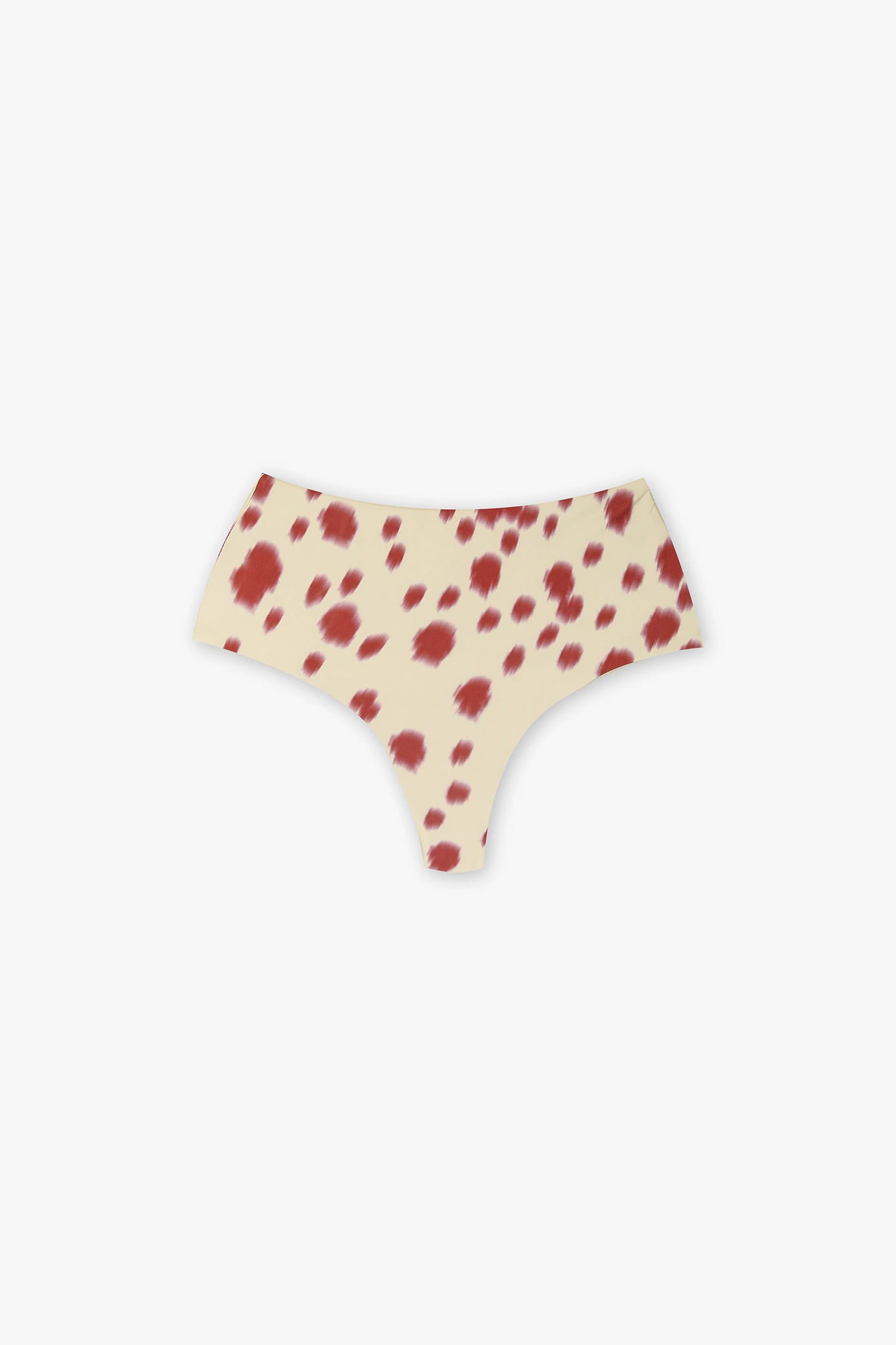 Bottom Bikini Concha - imagen 7