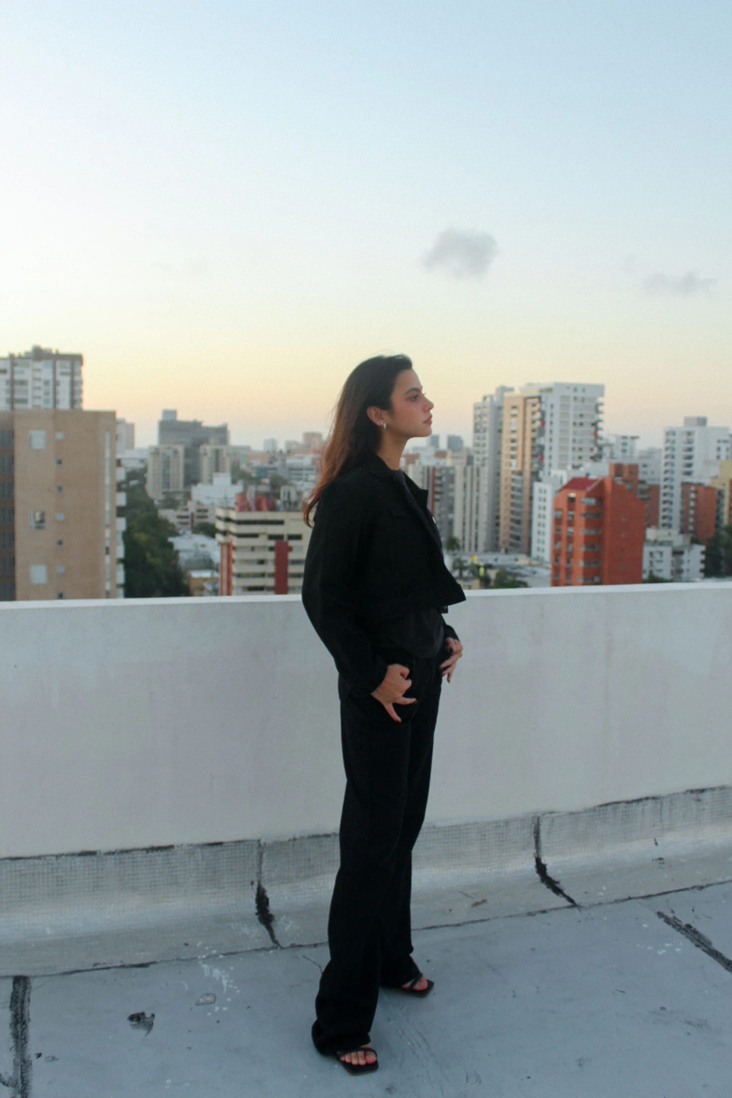 Black Jacket - imagen 2
