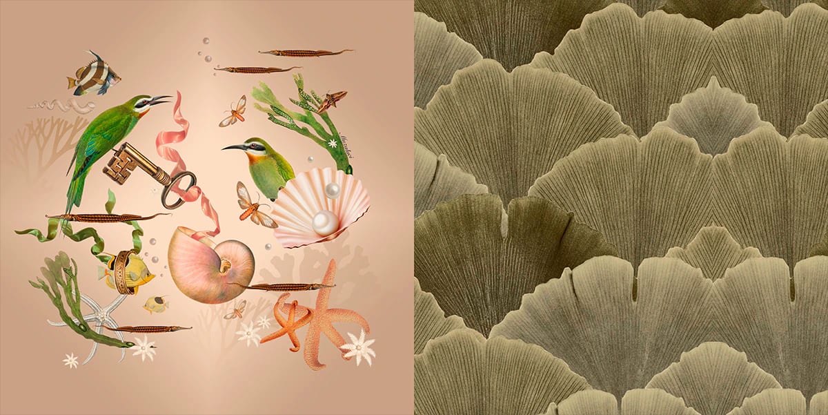 Cojin - Coralina - imagen 3