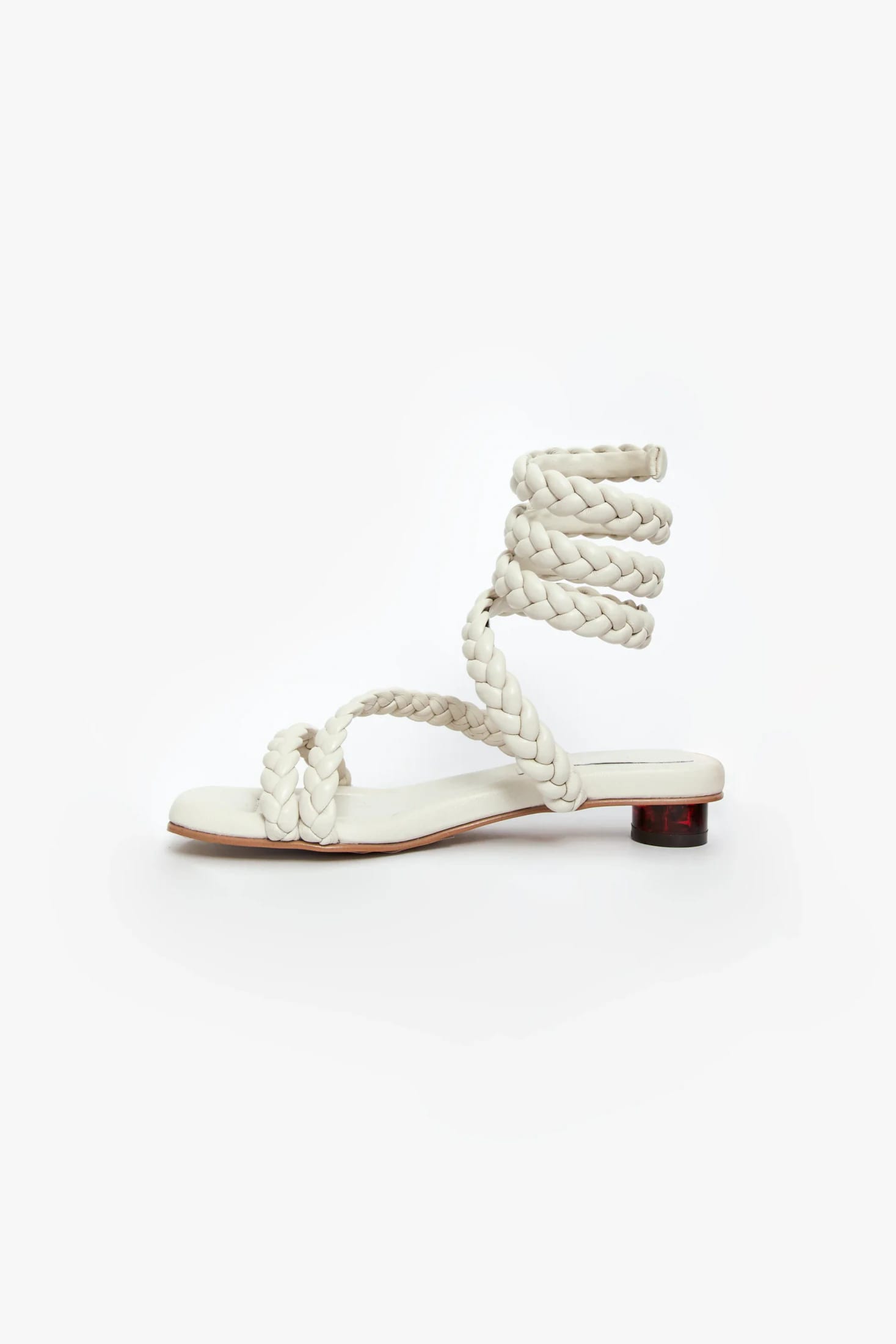ROMA TRENZA - imagen 6