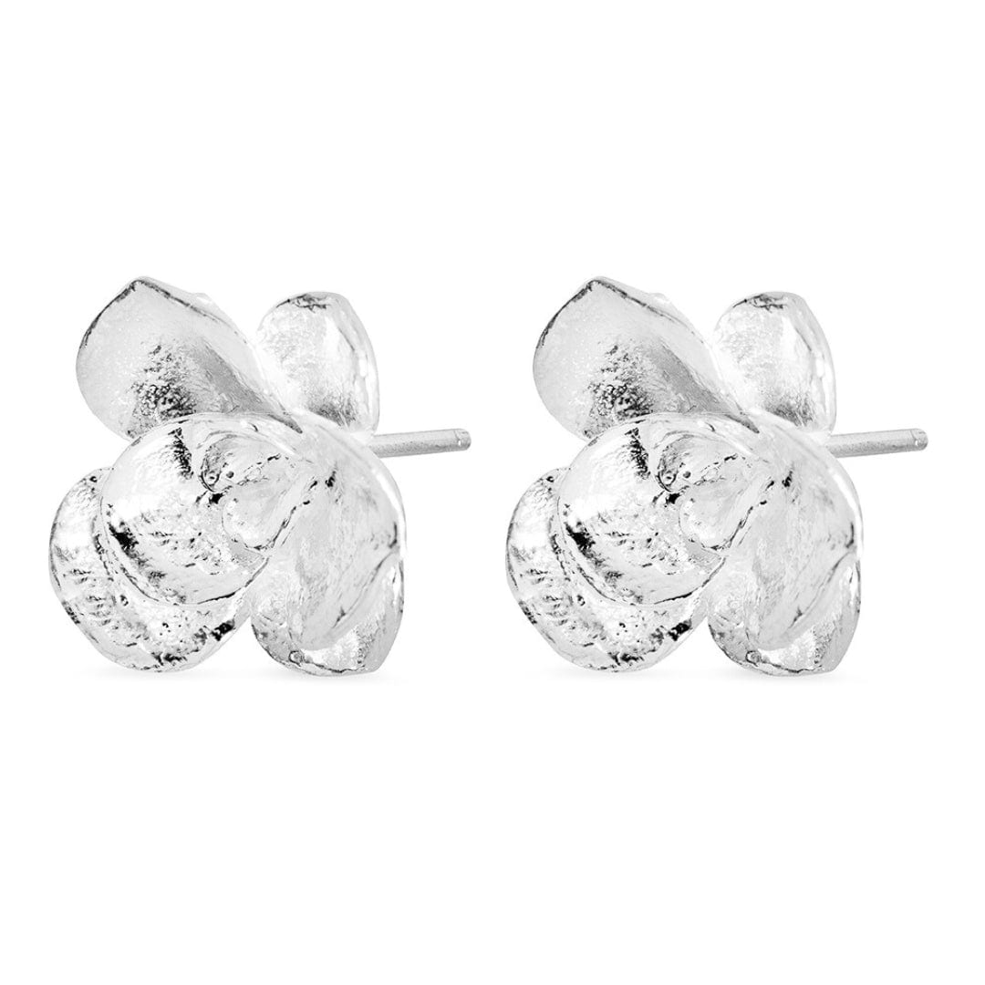 Aretes suculenta Simona en plata - imagen 3