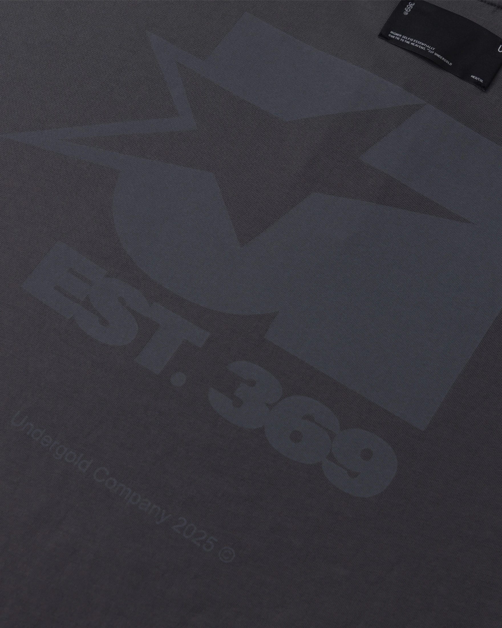 Stardust Symbol Tshirt Gray - imagen 6