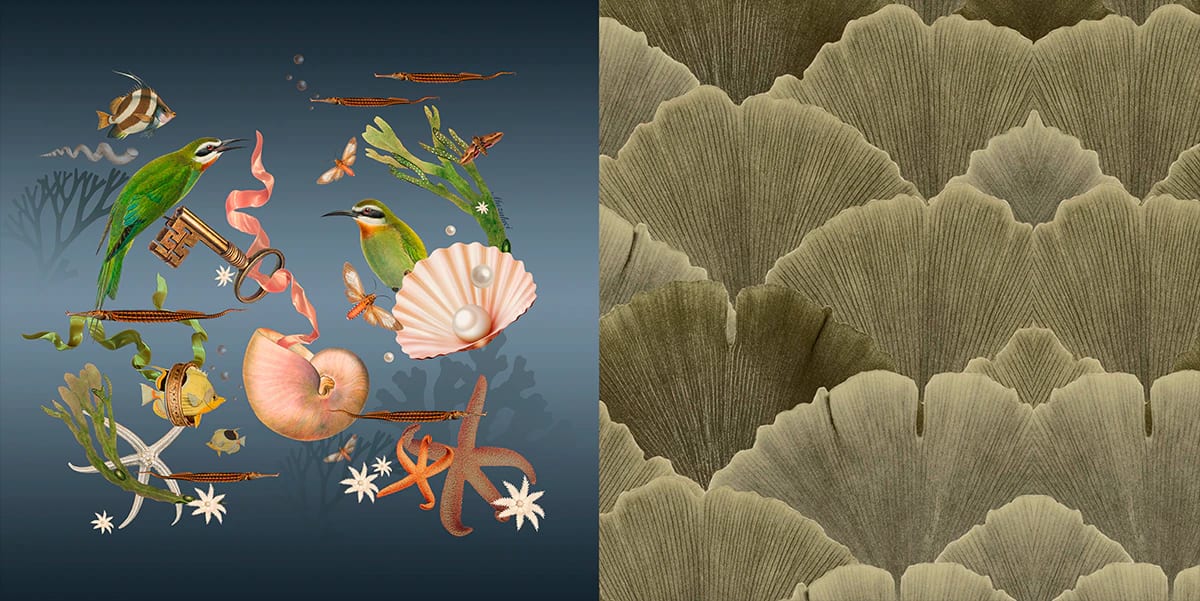 Cojin - Coralina - imagen 2