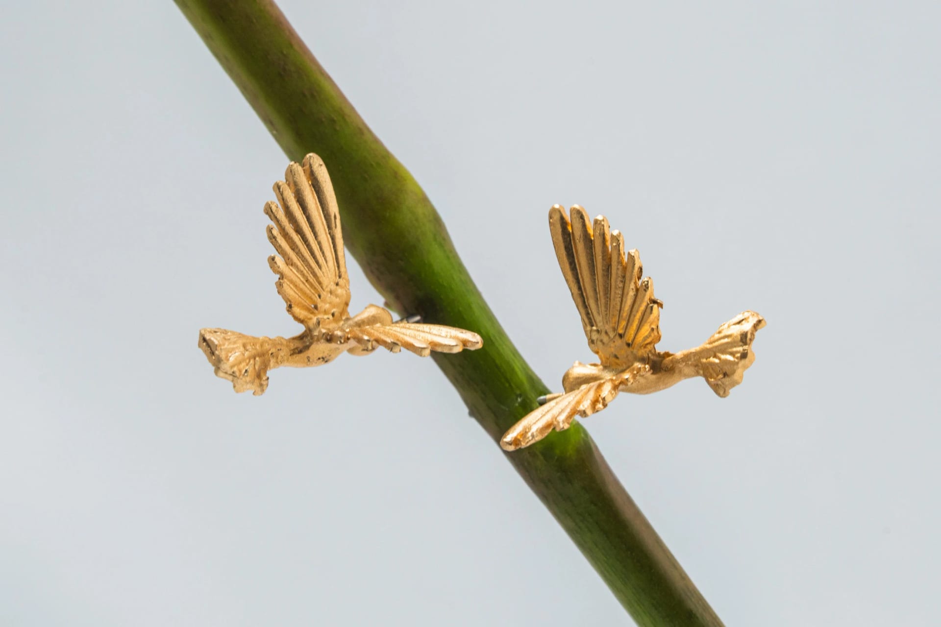 Aretes Colibrí Aliria - imagen 7
