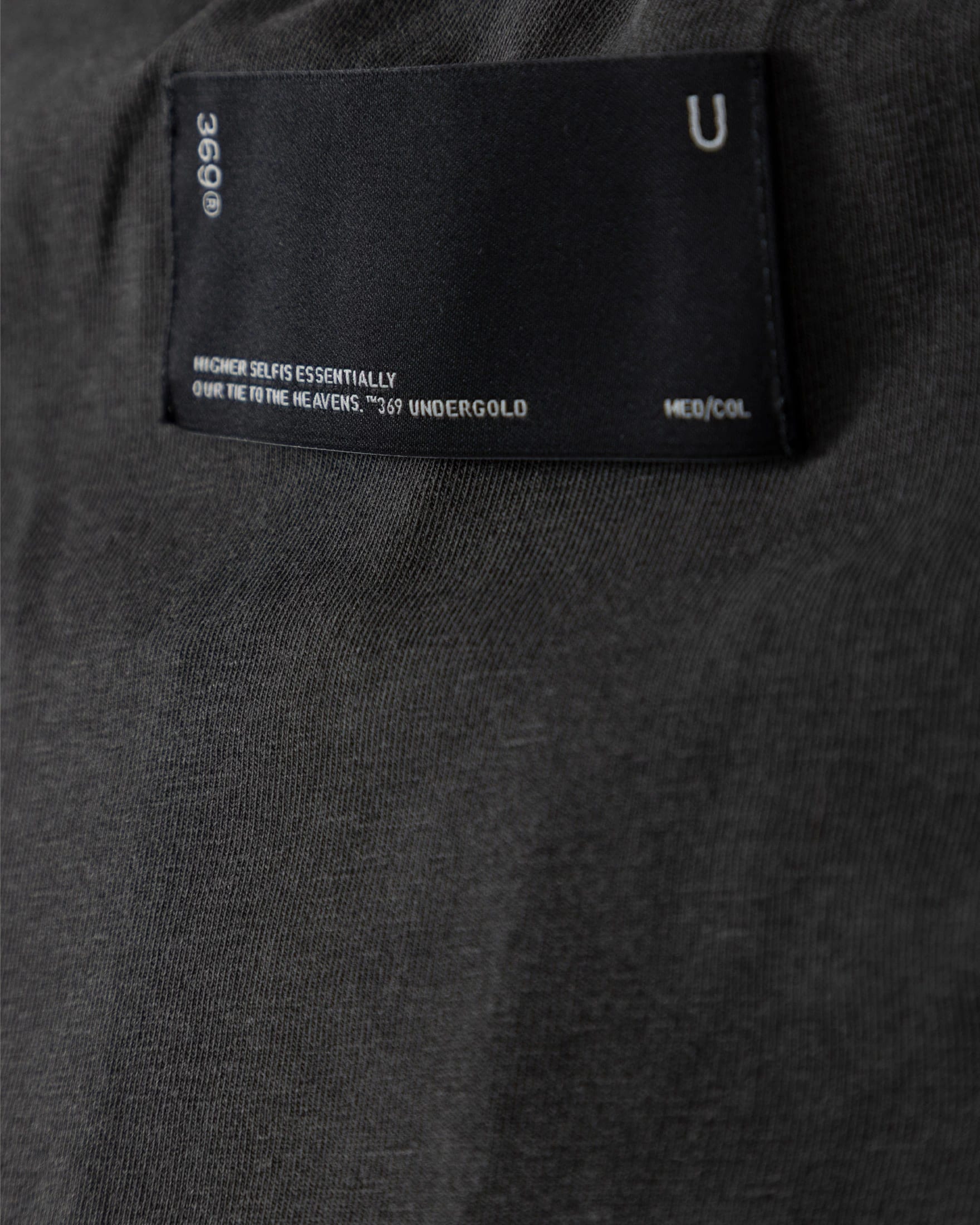 Echoes UNDRGLD Baby Tee Old Washed Gray - imagen 6