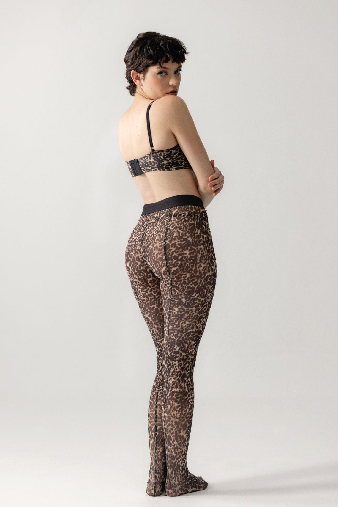 MEDIAS PANTALON PARDO FELINA - imagen 4