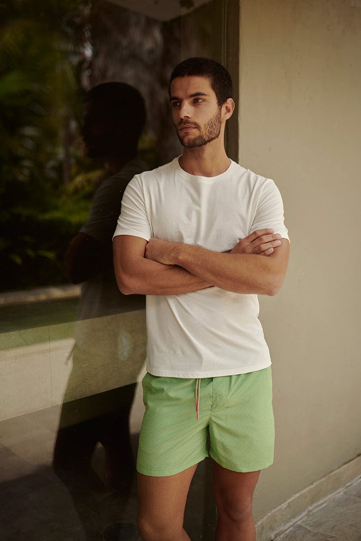 Camiseta - imagen 8