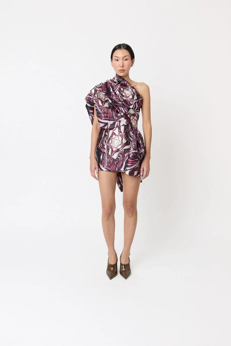 Cabbage Dress - imagen 6