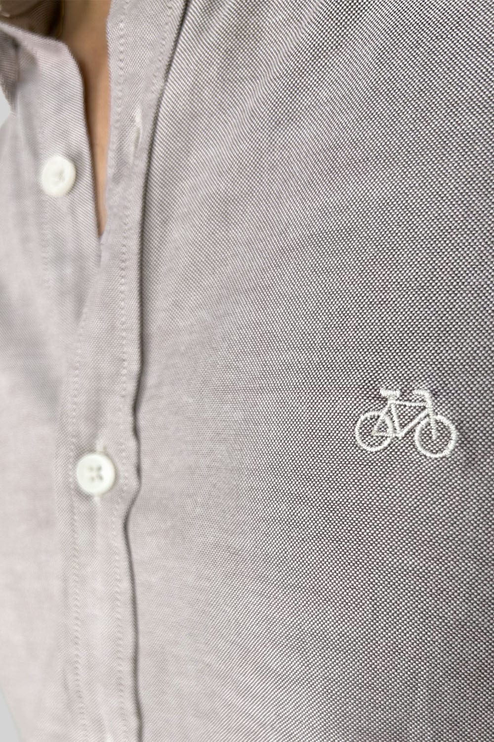 CAMISA OXFORD DOTTED GREEN - imagen 3