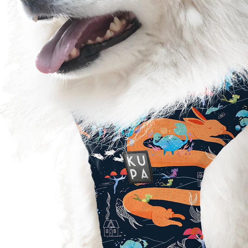 Pechera para mascotas Chía Viajerxs Astrales - imagen 3