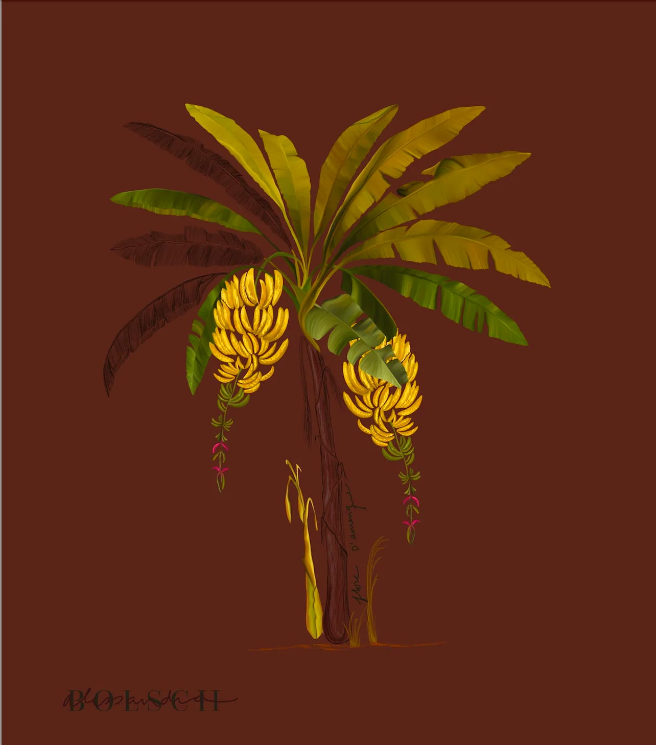 PALM TREE, TERRACOTA - imagen 2
