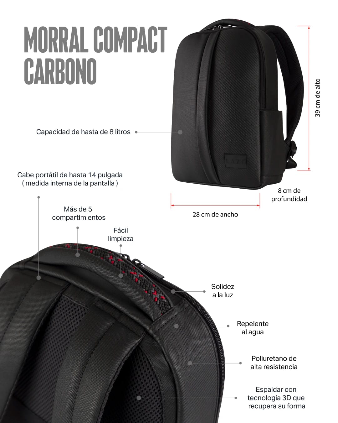 MORRAL CARBONO - imagen 6