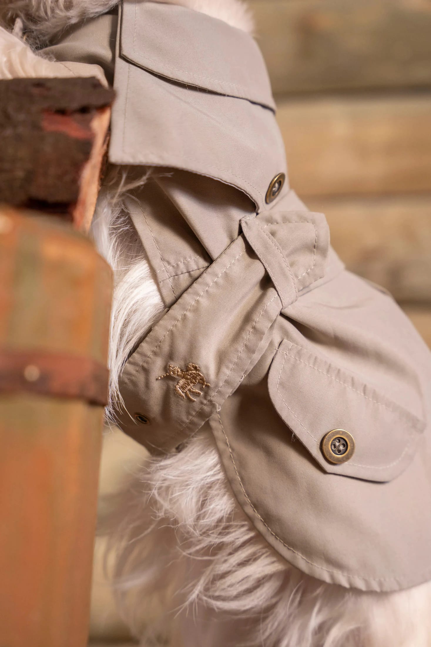 Trench Perro Beige Oscuro - imagen 4