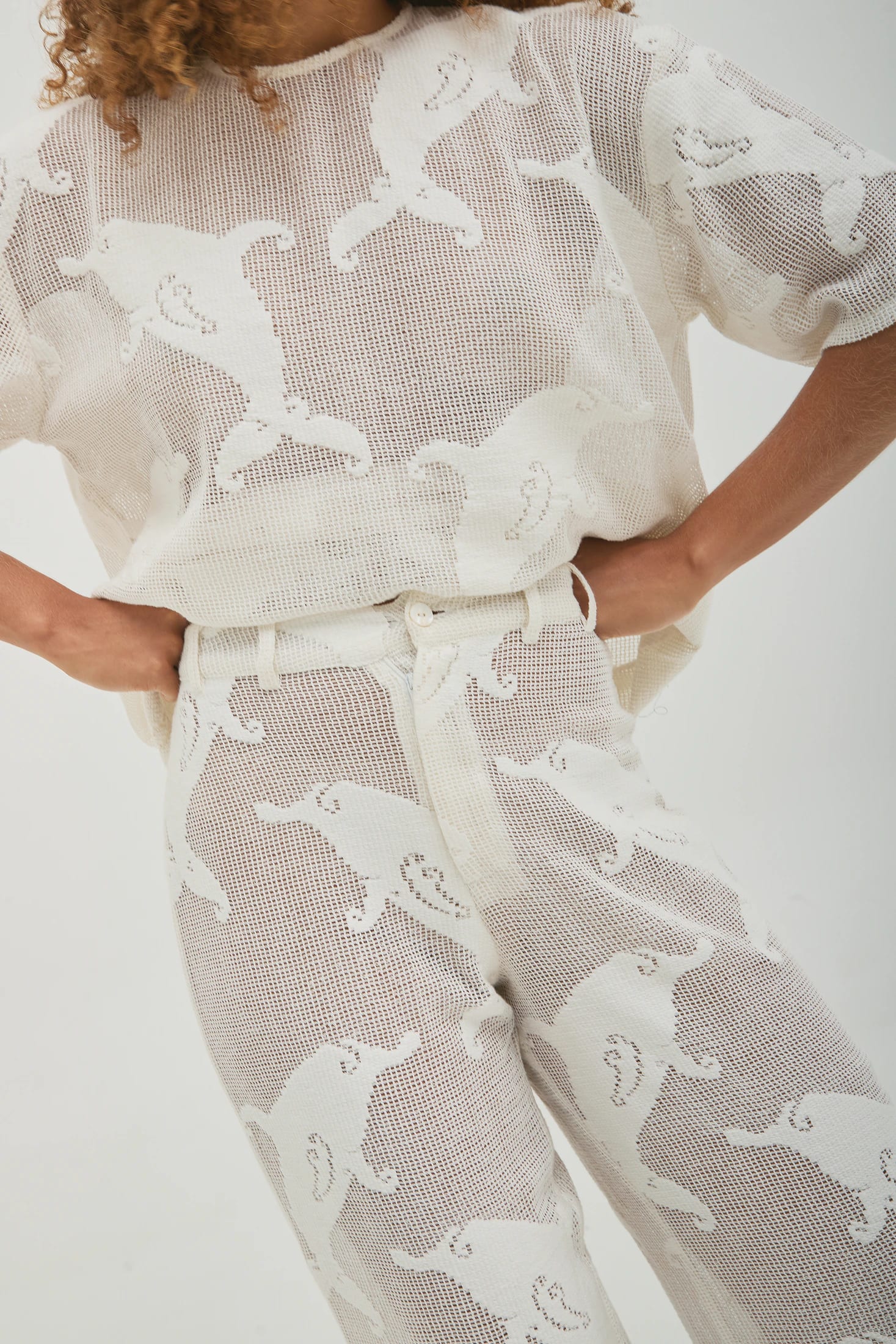 Pant Dolphins Crudo - imagen 2