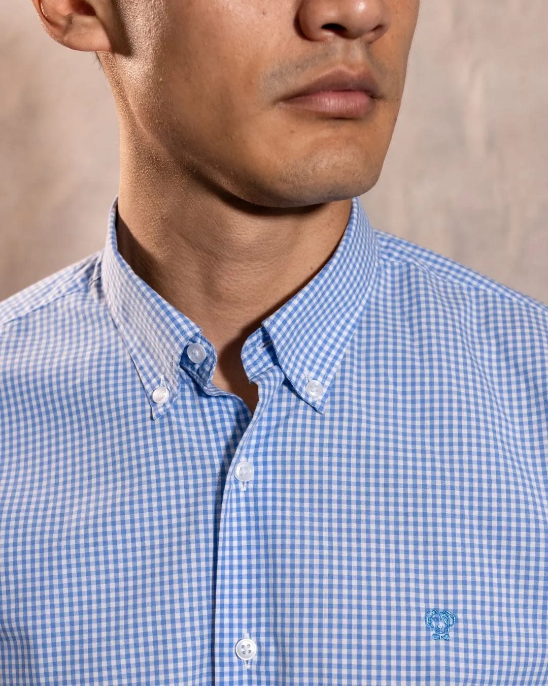 Camisa Antimanchas Popelina Cuadros Azul Claro Logo Combinado - imagen 3