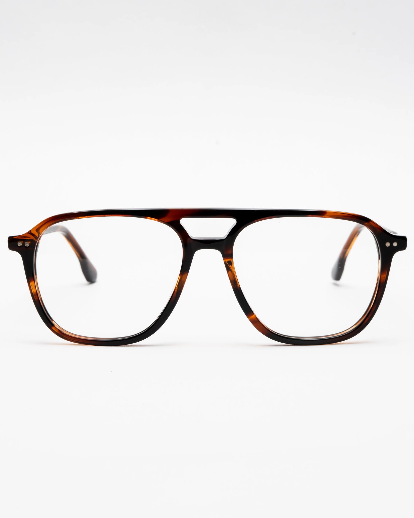 BERNARD - TORTOISE - imagen 4